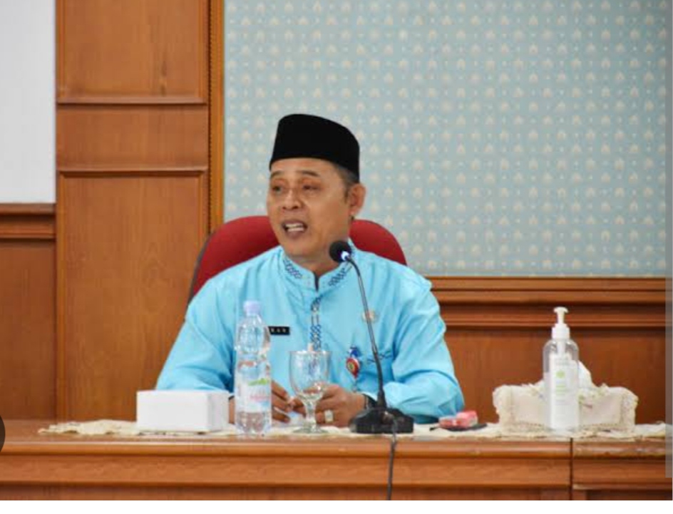 Bupati Inhil, Herman