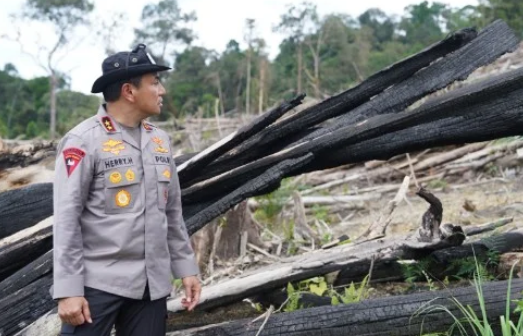 Irjen Hery Akan Tindak Tegas Pelaku Perambahan Hutan