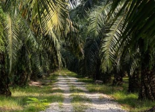 Sat Intelkam Polres Bengkalis Lakukan Penggalangan dan Keamanan Saat Mediasi Konflik KSO