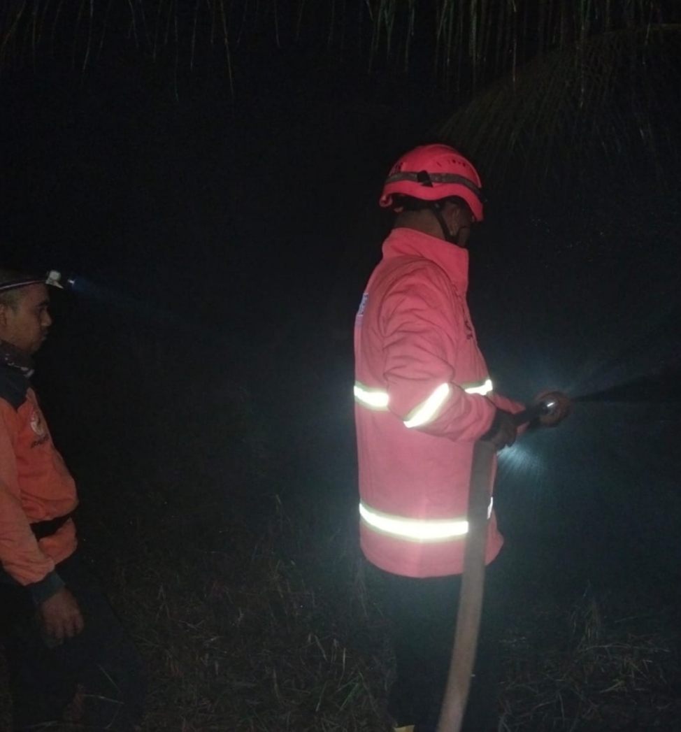 Karhutla di Parit Jamrah Inhil