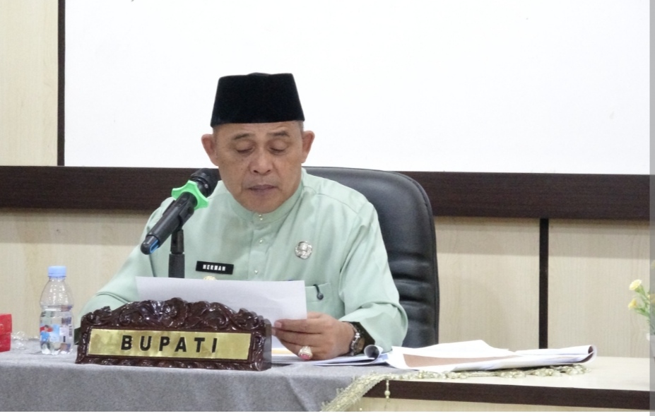 Bupati Indragiri Hilir, Herman