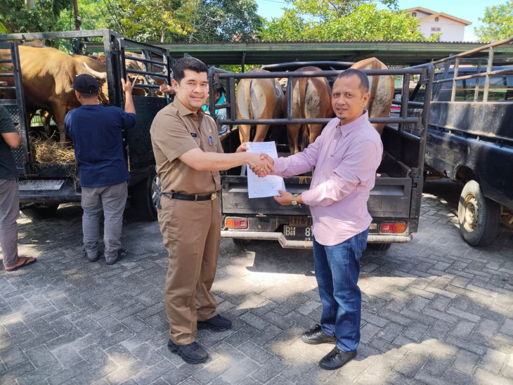 Hewan kurban di Islamic Center Bangkinang Kota