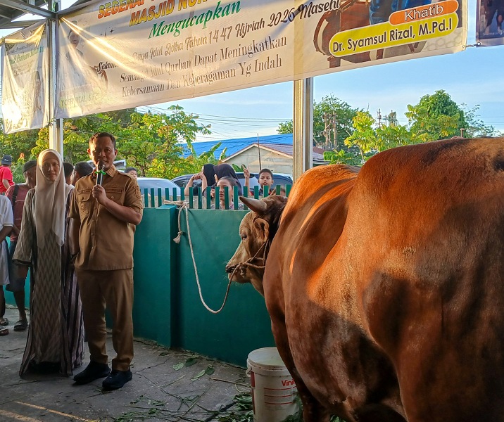 Wali Kota Pekanbaru Agung Nugroho menyerahkan sapi jenis Limosin berbobot 907 kilogram untuk Masjid Nurul Amal, Jalan Kayu Manis, Kelurahan Tirta Siak. Foto: Surya/Riau1.