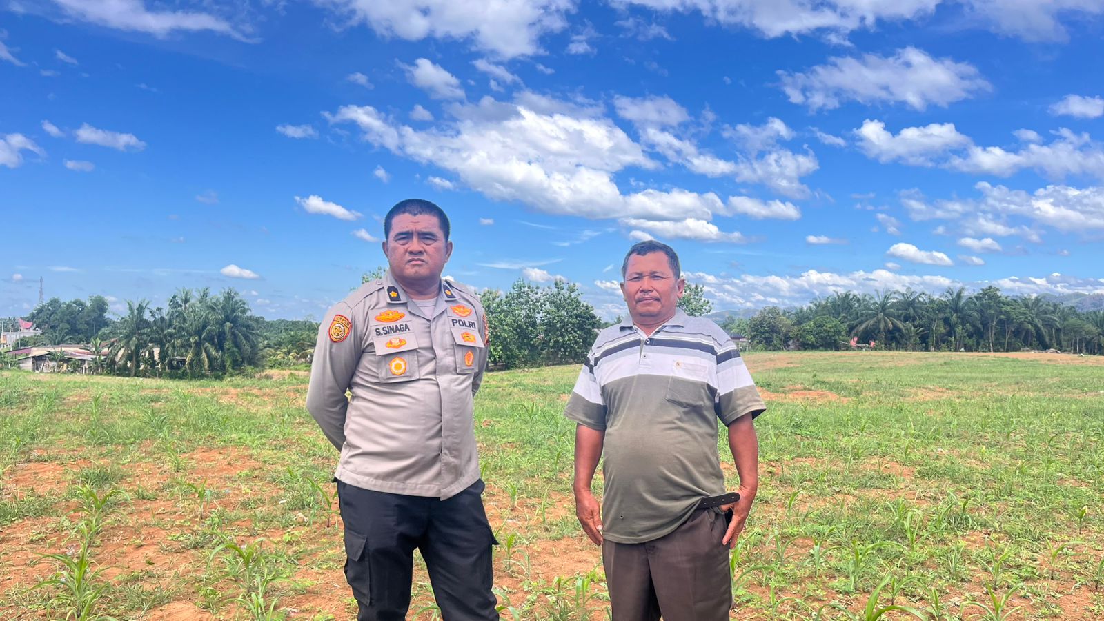 Polres Rokan Hulu Cek Tanaman Jagung di Lahan 6 Hektare, Perkuat Ketahanan Pangan Nasional di Tengah Musim Kemarau