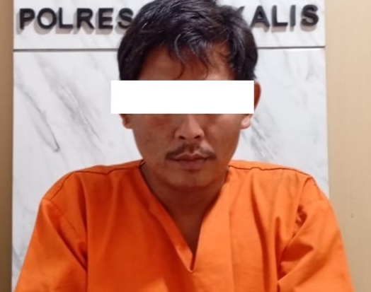 Polsek Pinggir Tangkap Pelaku Peredaran Sabu