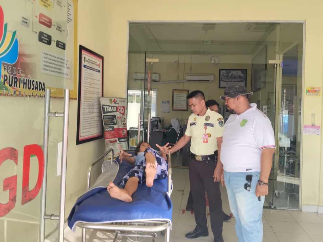 Koran gigitan monyet di Tembilahan mendapat perawatan medis