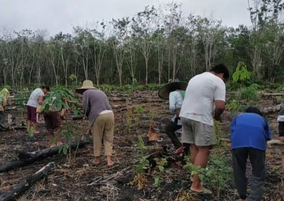 Peladang Adat di Kalimantan