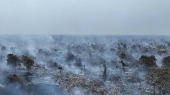 Ilustrasi lahan yang terbakar