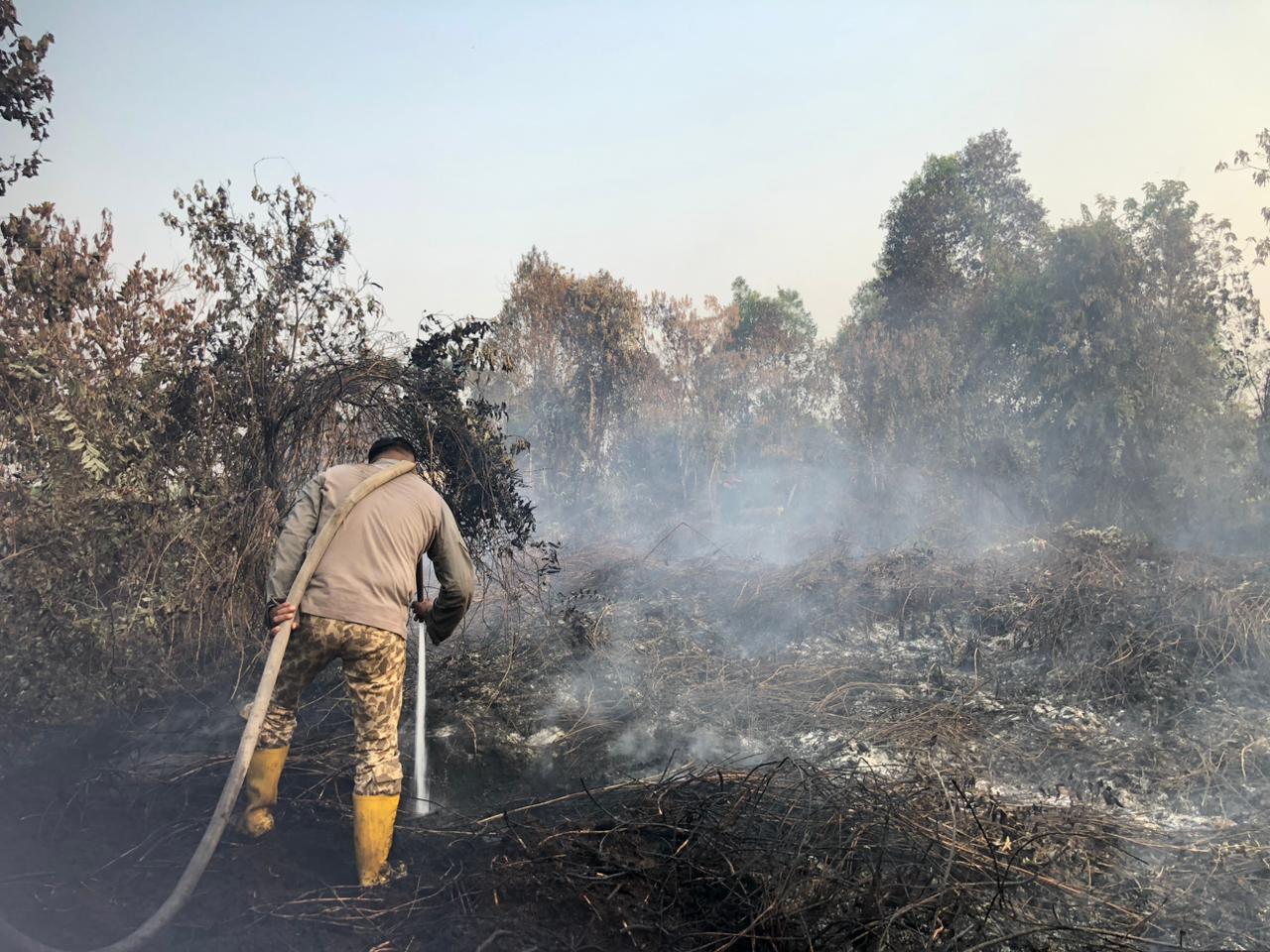 Proses pendinginan karhutla Rimbo Panjang. (Riau1.com/ZuratulAiniRodhiah)