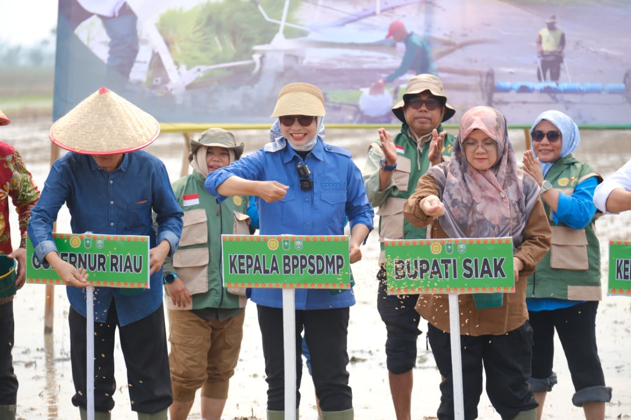 Gerakan tanam serempak di Siak