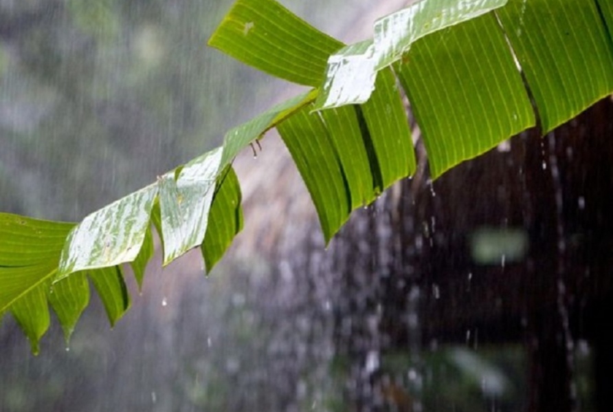 Ilustrasi/net
